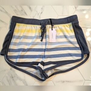 NWT Z Supply Rainbow Striped Shorts